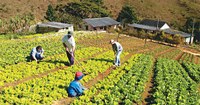 1º Fórum da Agricultura Familiar de Juara será em maio.