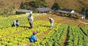 1º Fórum da Agricultura Familiar de Juara será em maio.