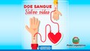 25 de novembro: Dia Nacional do Doador Voluntário de Sangue.