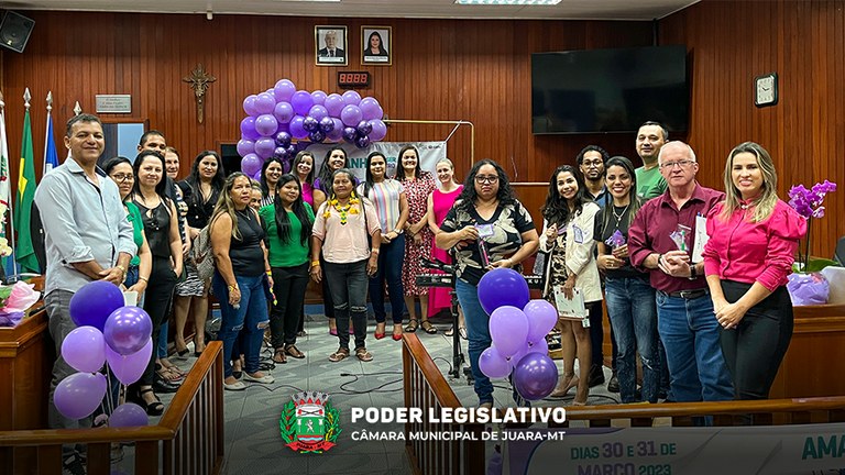 8ª Conferência Municipal De Saúde Foi Realizada Na Câmara Municipal De