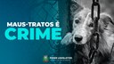 Entenda a Legislação: Abandono e maus-tratos aos animais é crime