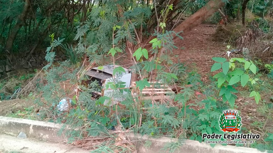 Lixo e entulho são jogados nas margens dos córregos de Juara.