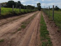 Moradores das proximidades da Água Boa agradecem vereadores pela recuperação de estrada.