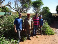 Poda de árvores é um pedido antigo dos moradores de Águas Claras.