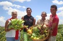 Prefeitura faz chamada pública para agricultura familiar de Juara/MT.