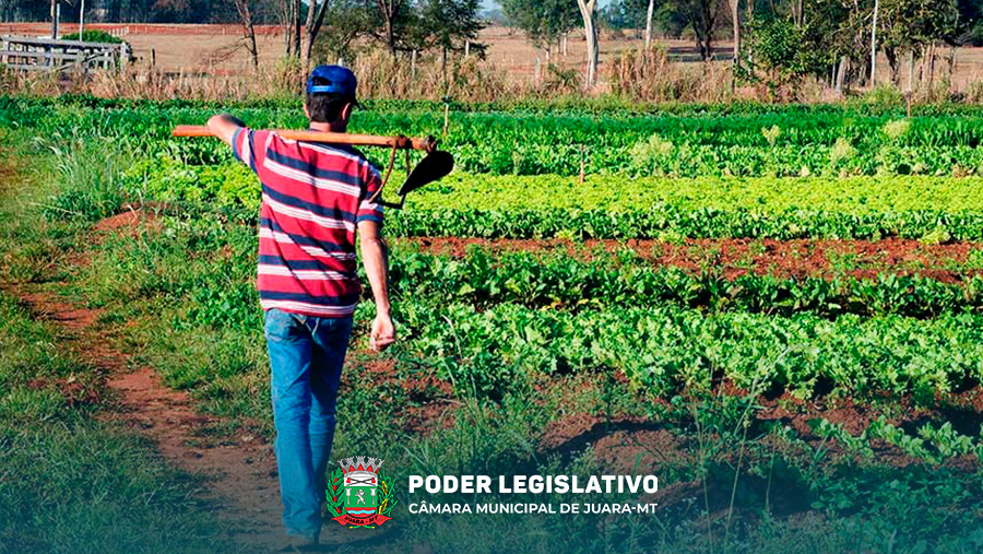 Projeto de Lei institui a Semana da Agricultura Familiar em Juara