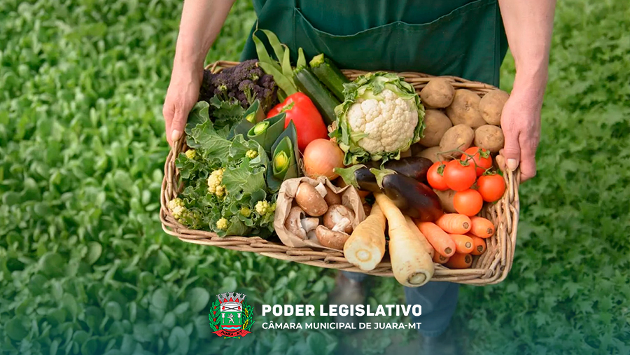 Semana da Agricultura Familiar pode ser realizada em Juara