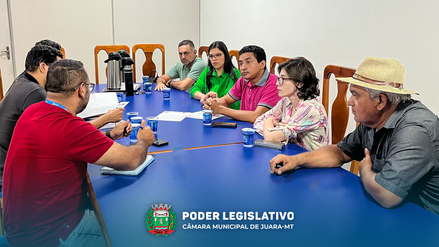 Vereadores se reúnem com Energisa em busca de melhorias na infraestrutura elétrica em Juara